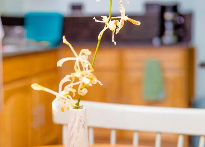 Cap-sud Self Catering